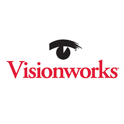 How Vision Works